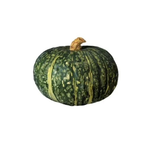 بذور الفواكه – بطيخ دلاح كريمسون الحلو 5غ – ATLASEEDS